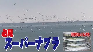 必見！スーパーナブラ