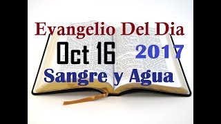 Evangelio del Dia- Lunes 16 Octubre 2017- Sangre y Agua