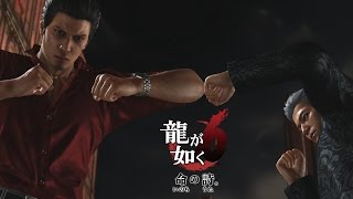 Ryu Ga Gotoku 6 - Boss Fight - Han Joon Gi (3rd Round)