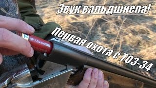 Первый раз с ТОЗ-34 на охоту (на вальдшнепа) Выстрел влет!