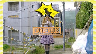 Top 5 Cute but Dangerous animals in Japan