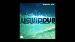 Liquid Dub – Loops, One-Shots, Drum Racks, & Kits