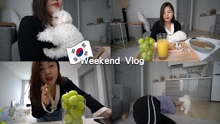 與社長在韓國的最後一個週末 謝謝妳的陪伴♥ 如果我暈倒了 你會救我嗎？ l Cher is chercher