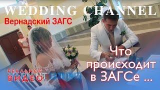 Что происходит в ЗАГСе. Вернадский ЗАГС. Регистрация брака.