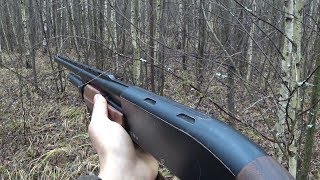 ПОДКРАДЫВАЛСЯ К НЕМУ ПОЧТИ ЧАС... ОХОТА ОСЕНЬЮ В ЛЕСУ 2019