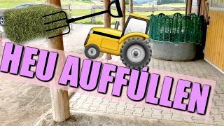 PFERDE STALLARBEIT HEU AUFFÜLLEN
