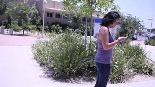 קליפ סיום יב' 6 - מחזור נ"ב שער הנגב