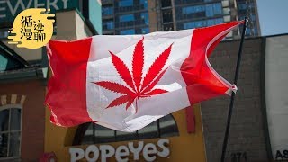 袁腾飞聊大麻合法化：解药还是毒药？