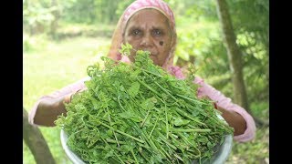 Farm fresh Dheki shak and prawn recipe | Healthy dheki shak prepared by grandmother