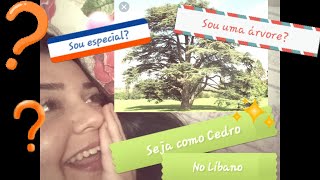 Uma palavra de conforto! Ser como cedro no Líbano! Sou especial?
