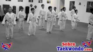 Basic Taekwondo Class for Children