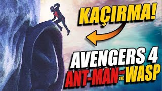 AÇIKLIYORUM: ANT MAN ve WASP SON SAHNE ÇOK ÖNEMLİ! AVENGERS 4