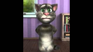 Talking Tom cat 2 funny pranks