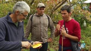Salud al día | Fútbol contra la obesidad y deportes para evitar un infarto
