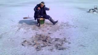 Зимняя рыбалка на льду озера Ильмень