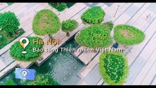 Thời tiết này đi đâu | Bảo tàng thiên nhiên Việt Nam