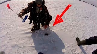 ОГО! ПРОСТО НЕРЕАЛЬНЫЙ КЛЁВ ЩУКИ НА ЖЕРЛИЦЫ! Ловля Щуки на Живца, Рыбалка на Жерлицы...Рыбак 35