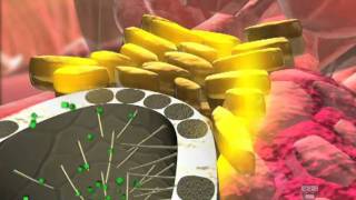 Kidney animations