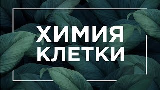 Химия клетки: белки, жиры, углеводы | ЕГЭ Биология | Даниил Дарвин