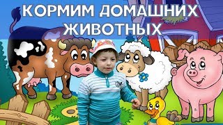 Кормим домашних животных - корову, гусей, кур, индюков и бурёнку.