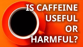 Caffeine effect on the body