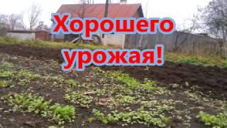 Как использовать мотоблок, чтобы подготовить огород.
