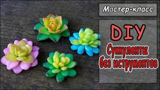DIY ❤ Суккуленты без инструментов из полимерной глины своими руками