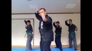 Ninjutsu Kyoto | Ninpo Taijutsu no Kamae 初心者へ基本忍法体術の構