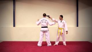 HAPKIDO