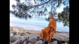 Học và hành Vi Diệu Pháp- "Trả Kinh lại cho Kinh"- Tri kiến thanh tịnh ... HT. Viên Minh giảng