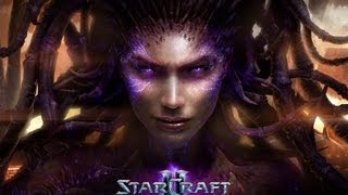Starcraft 2: Heart of the Swarm - Campaign - Brutal - Mission 8: Fire in the Sky