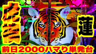 P花の慶次蓮  パチンコ新台  前日2000ハマり台で虎襖が出現  キセル・フリーズ・ほら貝&朱槍飛来  パチンコ実践【ニューギン 】