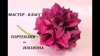 МК гортензия из изолона. Ростовой цветок из изолона. Hortensia diy