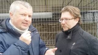 Прямой эфир по блогерам Серый Кот, Страна для жизни