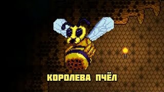 Terraria обзор как найти КОРОЛЕВУ  пчёл 1.3.0.8