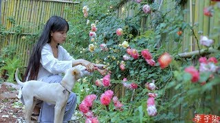 （笋）Best Time of Year to Comsume Juicy and Tender Bamboo Shoots; Pick As Much As You Like|Liziqi