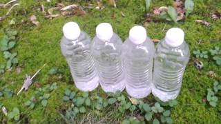 Tops Mini Tracker Quad Bottle Cut