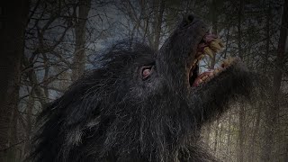 OS MELHORES RELATOS DE LOBISOMEM DO CANAL (PARTE 4)