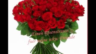 ROT ROT SIND DIE ROSEN