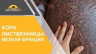 Кора лиственницы для мульчирования мелких участков (мелкая фракция 0-3 см). Компания «Цветники РУ».