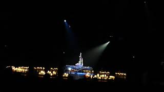 Circo du solei luzia- el contorsionista