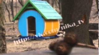 Александровский парк. Ровеньки, март 2013