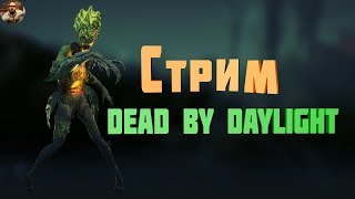 Стрим!!! ?Dead by Daylight | DBD | ДБД ?Играем Паблики!!!