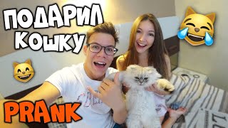 ПРАНК ПОДАРИЛ КОШКУ ДЕВУШКЕ И ЗАБРАЛ! ЕЕ РЕАКЦИЯ!