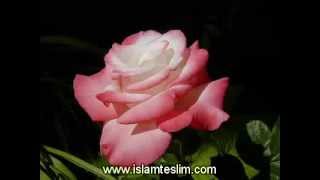 Abdurrahman Önül - Can Allah Canan Allah İlahisi - www.islamteslim.com