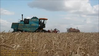 Уборка-2018 урожай в Казахстане Костанайская область Карасуский район село Ленино