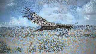 Pachacamac Socoroma - Arak Pacha