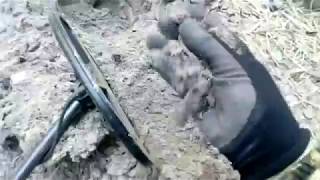 Коп№36. В поисках ЗОЛОТА.