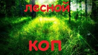 Летний поиск монет 2015 Лесной коп