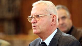 Johannes Neuhardt- Der Weinstock und die Reben
